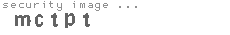 security image