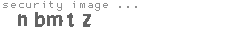 security image