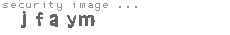 security image