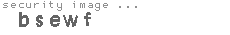 security image