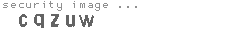 security image