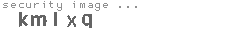 security image