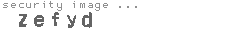 security image