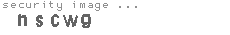 security image