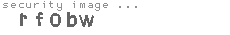 security image