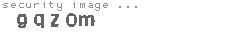 security image