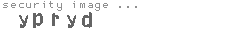 security image