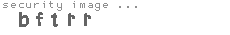 security image