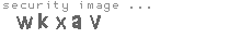 security image