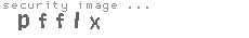 security image