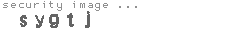 security image