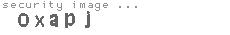 security image