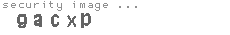 security image