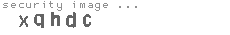 security image