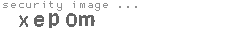 security image