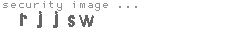 security image