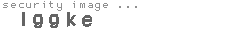 security image