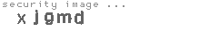 security image