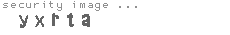 security image