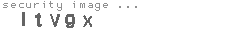 security image