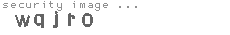 security image