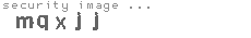 security image