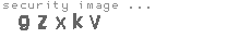 security image
