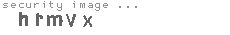 security image