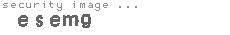 security image