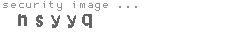 security image