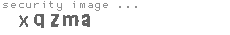security image