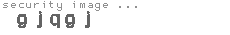 security image