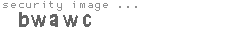 security image
