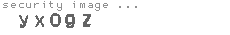 security image