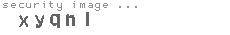 security image