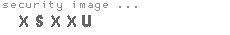 security image