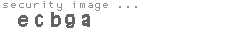 security image