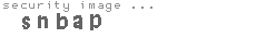 security image