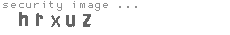 security image