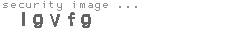 security image