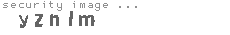 security image