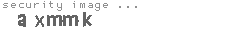 security image