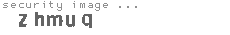 security image