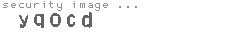 security image