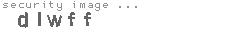 security image