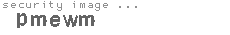 security image
