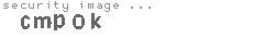 security image