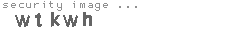 security image
