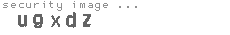 security image