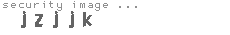 security image